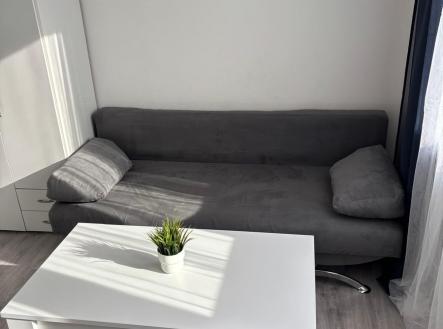 img-20251126-wa0018.jpg | Pronájem bytu, 1+kk, 19 m²