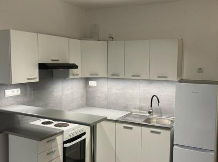 img-20250227-wa0001.jpg | Pronájem bytu, 1+kk, 19 m²