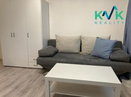 img-20250227-wa0002-1.jpg | Pronájem bytu, 1+kk, 19 m²
