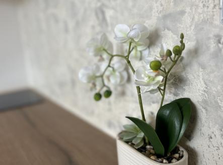 img-6795-2.jpg | Prodej bytu, 1+kk, 19 m²