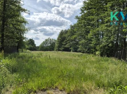 20260608-154712.jpg | Pronájem - pozemek, zahrada, 3 000 m²