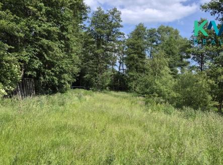 20260608-154531.jpg | Pronájem - pozemek, zahrada, 3 000 m²