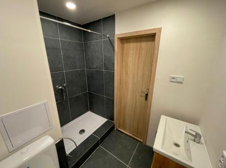 Pronájem bytu, 1+1, 43 m² obrázek