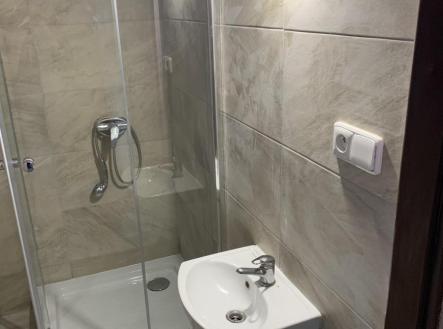 koupelna.jpg | Pronájem bytu, 1+1, 43 m²