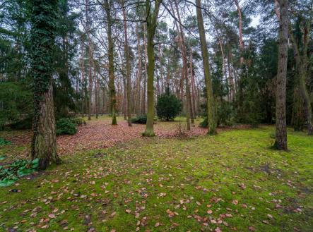 Prodej - pozemek pro bydlení, 2 800 m² obrázek