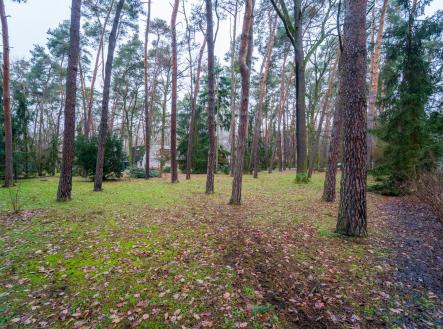 DSC03041.jpg | Prodej - pozemek pro bydlení, 2 800 m²