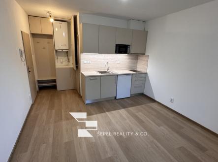Pronájem bytu, 1+kk, 25 m² obrázek