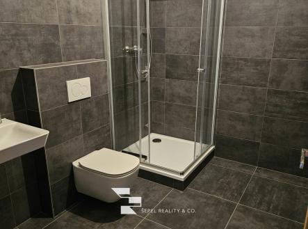 IMG-20230625-WA0004 | Pronájem bytu, 1+kk, 32 m²