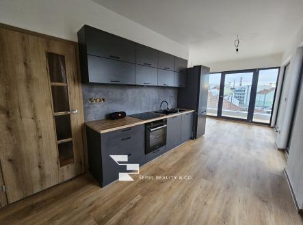 IMG-20230625-WA0007 | Pronájem bytu, 1+kk, 32 m²