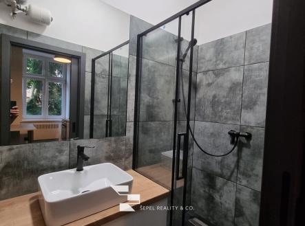 IMG-20210713-WA0018 | Pronájem bytu, 1+1, 72 m²