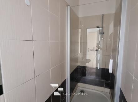 20250605_095717 | Pronájem bytu, 1+kk, 22 m²