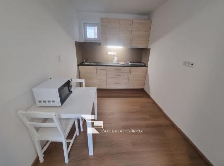 20251017_142425_resized | Pronájem bytu, 1+1, 32 m²