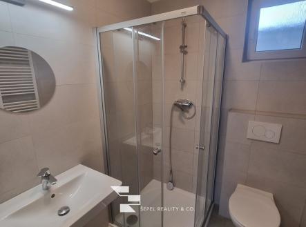 20251017_142138_resized | Pronájem bytu, 1+1, 32 m²