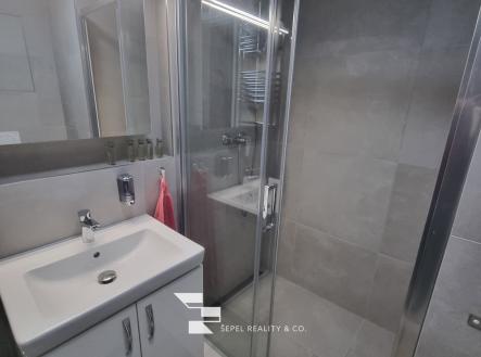 20240507_102839_resized | Pronájem bytu, 1+kk, 24 m²