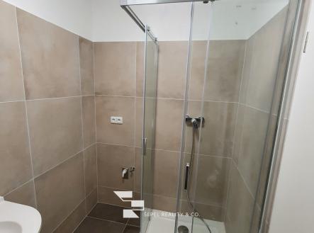 20221013_130918_resized | Pronájem bytu, 1+1, 33 m²