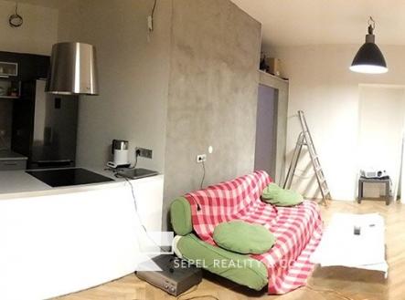 DSCF9009 | Pronájem bytu, 1+kk, 47 m²