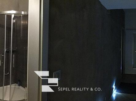 DSCF9013 | Pronájem bytu, 1+kk, 47 m²