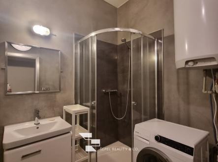 20260228_150458_resized | Pronájem bytu, 1+kk, 47 m²