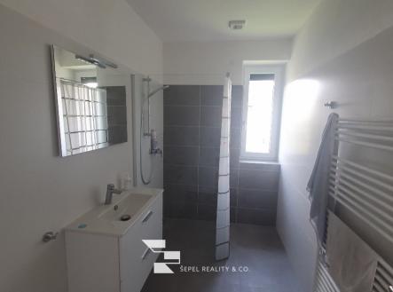 20220827_134441_resized | Pronájem - dům/vila, 180 m²