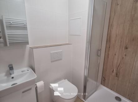 20241226_114018_resized | Pronájem bytu, 1+kk, 22 m²