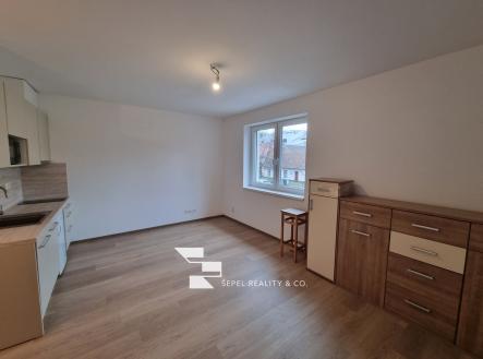 20250208_114820_resized | Pronájem bytu, 1+kk, 29 m²