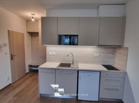 20250208_115119_resized | Pronájem bytu, 1+kk, 29 m²