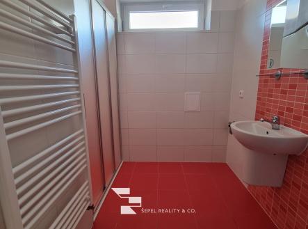 20260307_143447_resized | Pronájem bytu, 2+kk, 65 m²