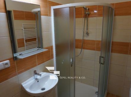 DSC01858_1 | Pronájem bytu, 1+kk, 40 m²