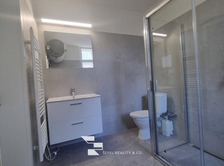 20260319_100359_resized | Pronájem bytu, 3+1, 123 m²