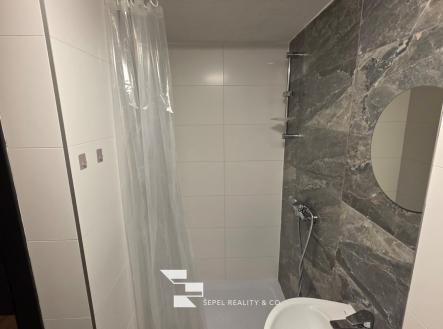 IMG-20260331-WA0002 | Pronájem bytu, 1+kk, 17 m²