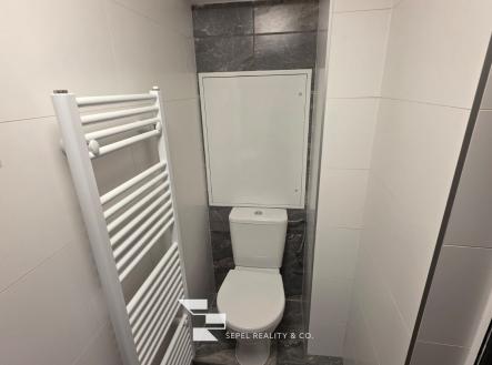 IMG-20260331-WA0003 | Pronájem bytu, 1+kk, 17 m²