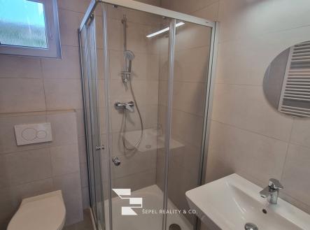 20250904_120139_resized | Pronájem bytu, 1+1, 32 m²