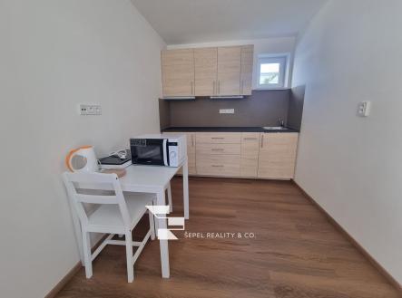 20250904_120047_resized | Pronájem bytu, 1+1, 32 m²