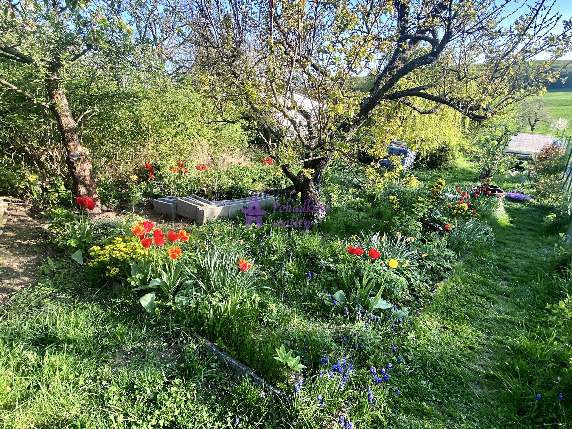 Prodej chaty 48 m², pozemek 511 m² Brno - Žebětín