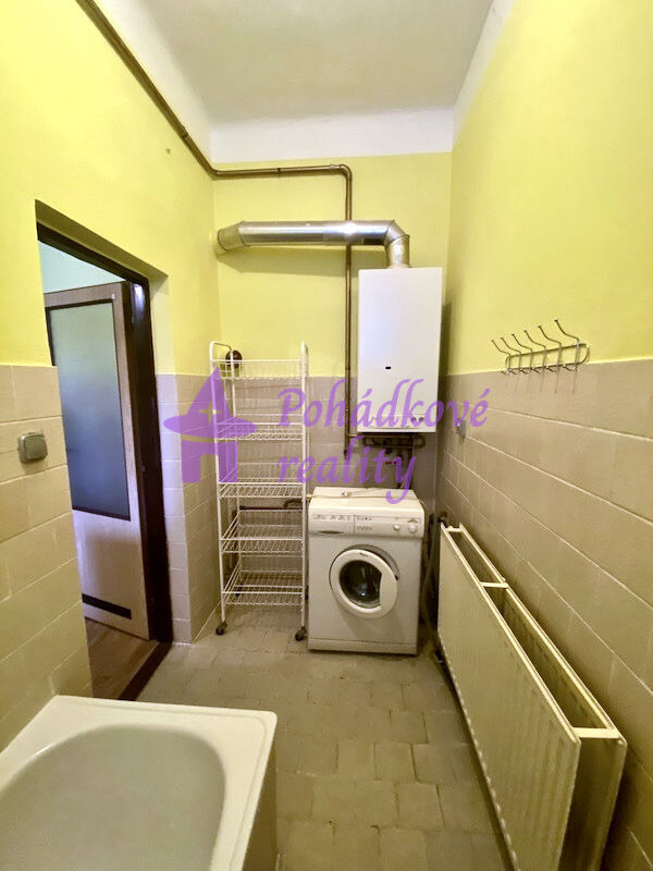 Pronájem bytu 1+1, 56 m²