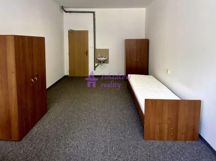 Pronájem bytu, jiný, 17 m²