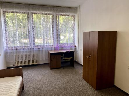Pronájem bytu, jiný, 17 m²
