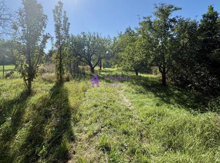 Pronájem - pozemek, zahrada, 1 528 m²