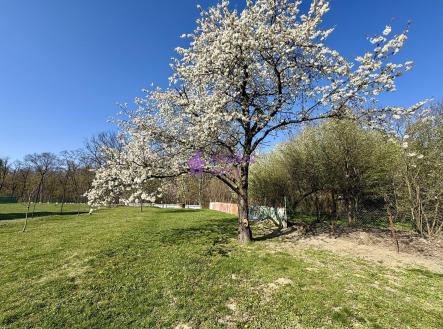 Pronájem - pozemek, zahrada, 1 636 m²