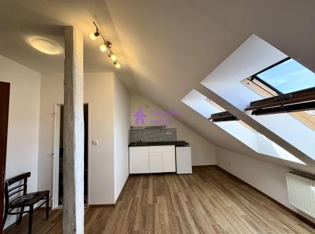 Pronájem bytu, 1+kk, 19 m²