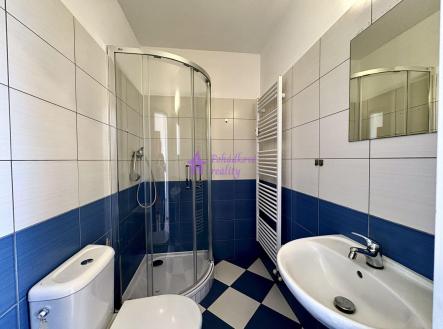 Pronájem bytu, 1+kk, 19 m²