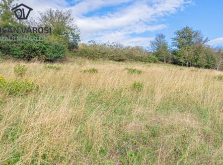 dsc-0097-hdr.jpg | Prodej - pozemek, trvalý travní porost, 5 743 m²