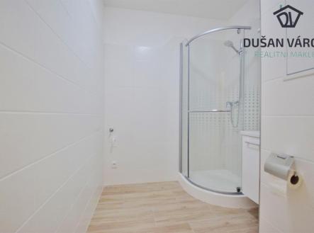 dsc-0035.jpg | Pronájem bytu, 2+1, 54 m²