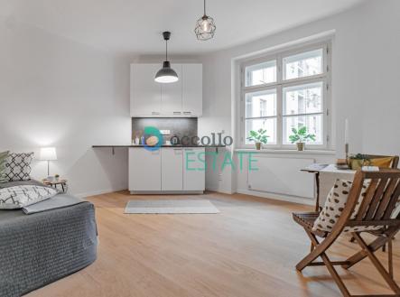 p1452544.jpg | Pronájem bytu, 1+kk, 26 m²