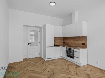 pcva0895.jpg | Pronájem bytu, 1+kk, 26 m²