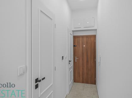 pcva0846-1.jpg | Pronájem bytu, 1+kk, 26 m²