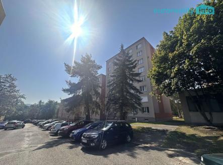 457664532-2257516557932947-2541725521250536810-n.jpg | Pronájem bytu, 2+1, 55 m²