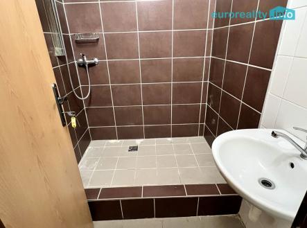 img-8693.jpeg | Pronájem - dům/vila, 340 m²