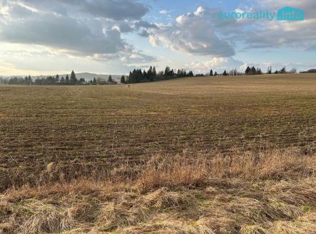 img-1600.jpg | Prodej - pozemek pro bydlení, 10 000 m²