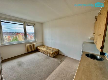 img-1211.jpeg | Pronájem bytu, 1+kk, 20 m²